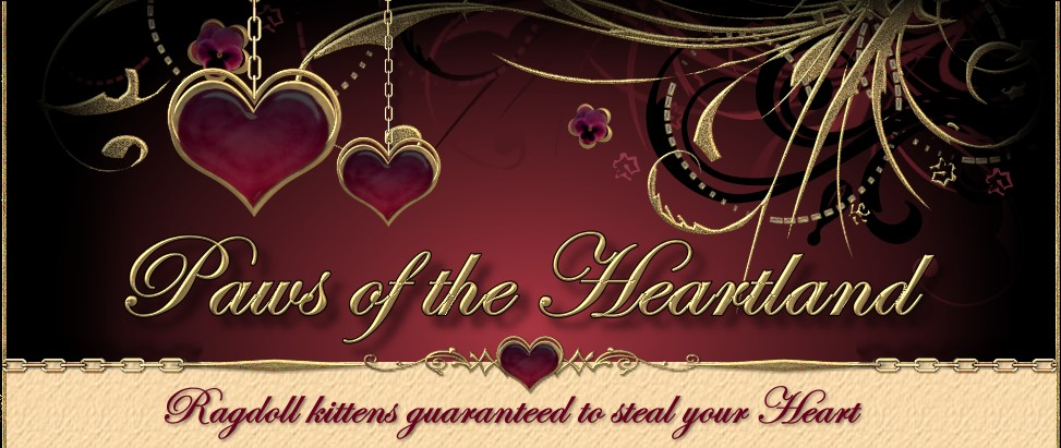 Paws of the Heartland